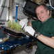 Image for article titled The First Space Flower Bloomed Decades Ago, Not This Week